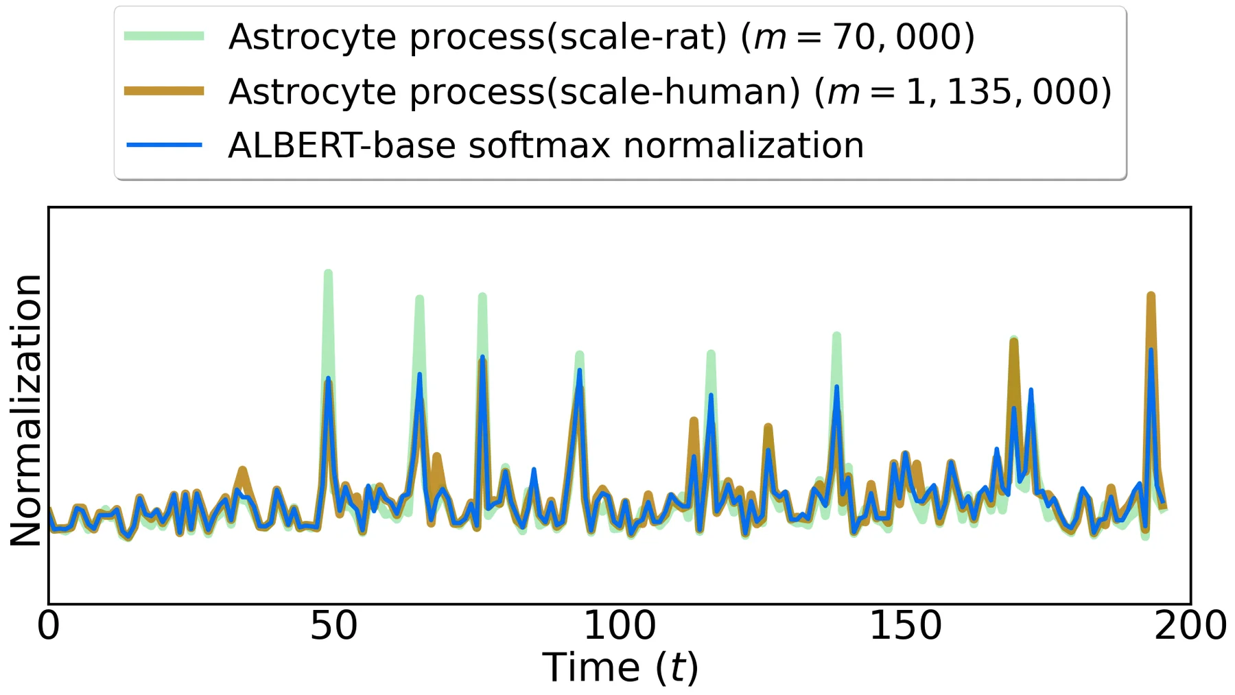 Comparison between rodent-scale and human-scale astrocyte normalization traces and ALBERT softmax