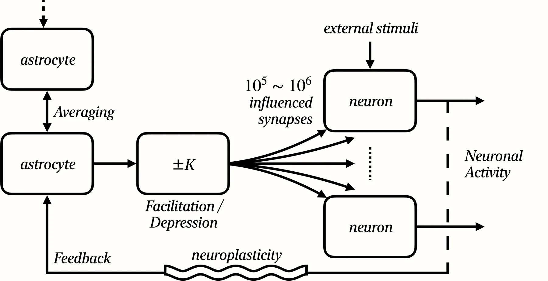 Neuron and astrocyte circuit diagram used to explain biological self-attention